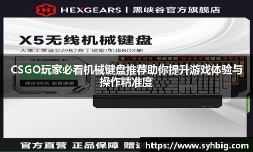 CSGO玩家必看机械键盘推荐助你提升游戏体验与操作精准度