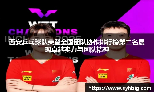 星空综合官网