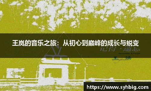 王岚的音乐之旅：从初心到巅峰的成长与蜕变