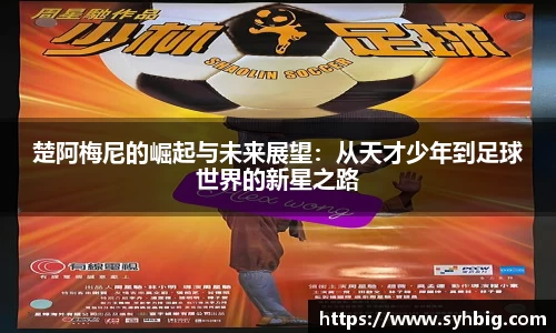 星空综合官网