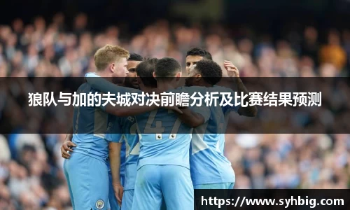 狼队与加的夫城对决前瞻分析及比赛结果预测