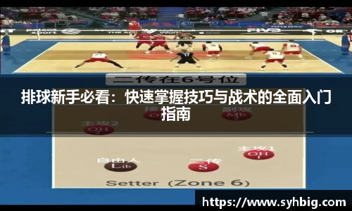 排球新手必看：快速掌握技巧与战术的全面入门指南