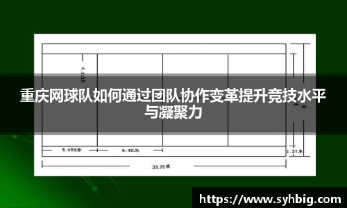 重庆网球队如何通过团队协作变革提升竞技水平与凝聚力